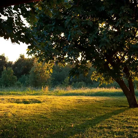 Cascina Bellaria Farm stay Sezzadio